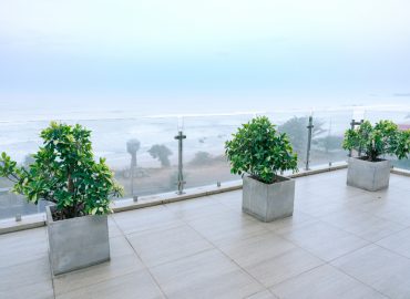 DSC01982